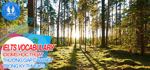 idioms trong ielts - ielts chủ đề environment - ielts cấp tốc